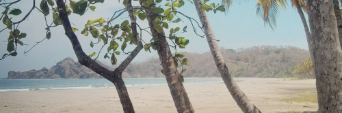 Not Bali